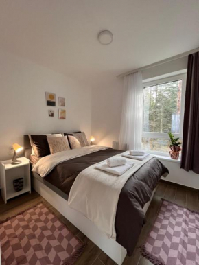 Apartmani Divila